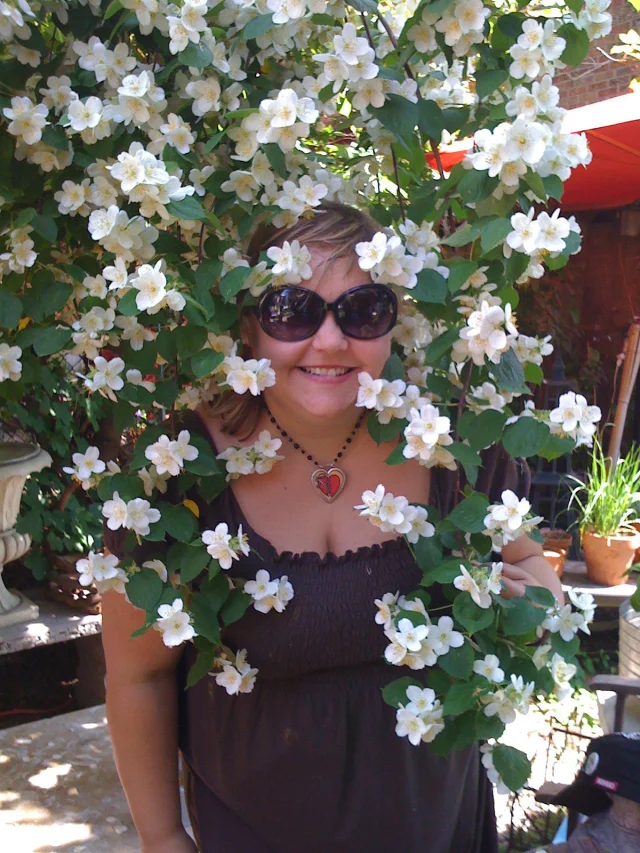 Suz Pisano